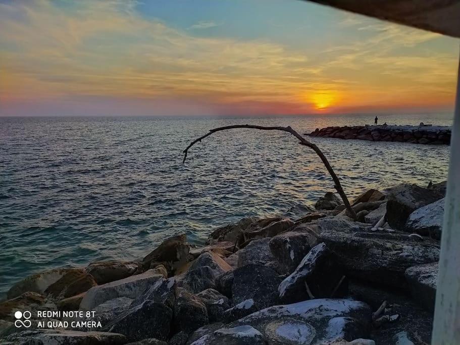 Casa Vacanze Marina Di Pisa Catola Exteriör bild