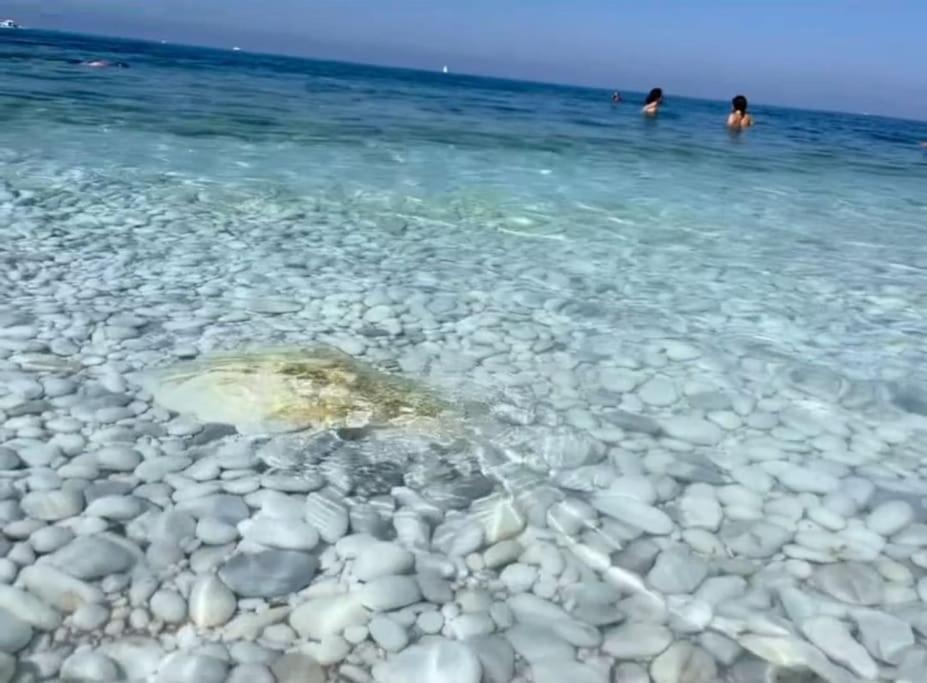 Casa Vacanze Marina Di Pisa Catola Exteriör bild